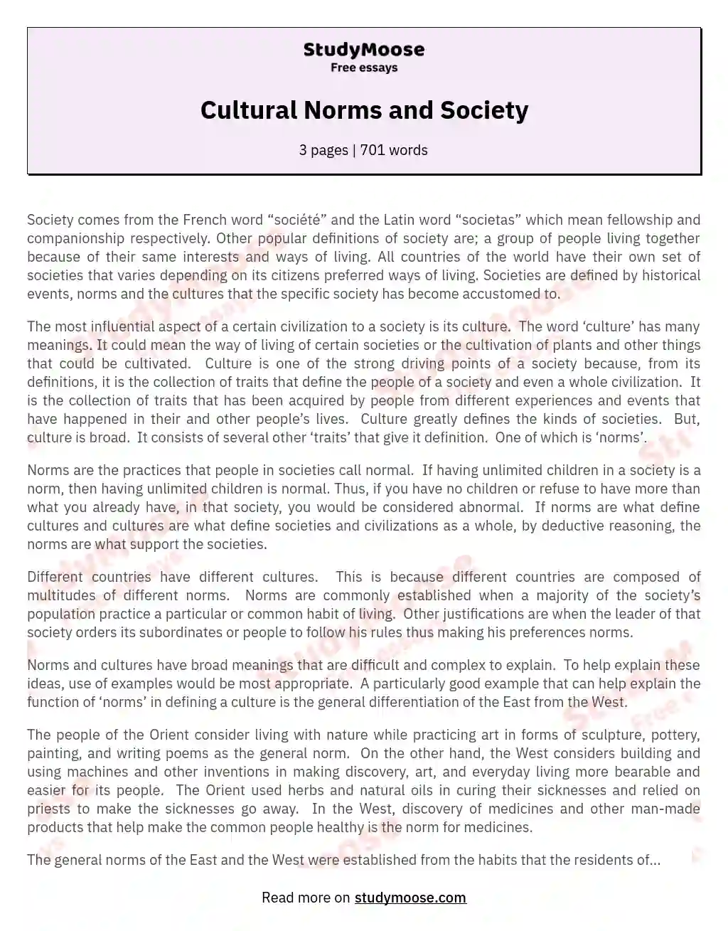 essay on cultural norms