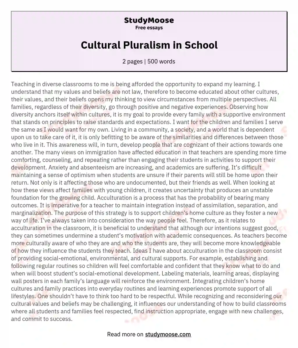 Cultural Pluralism in School essay