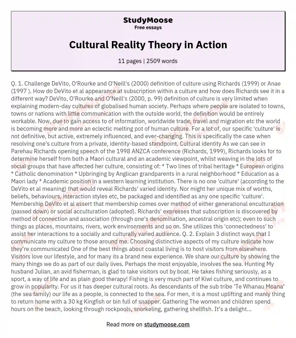 Cultural Reality Theory in Action essay