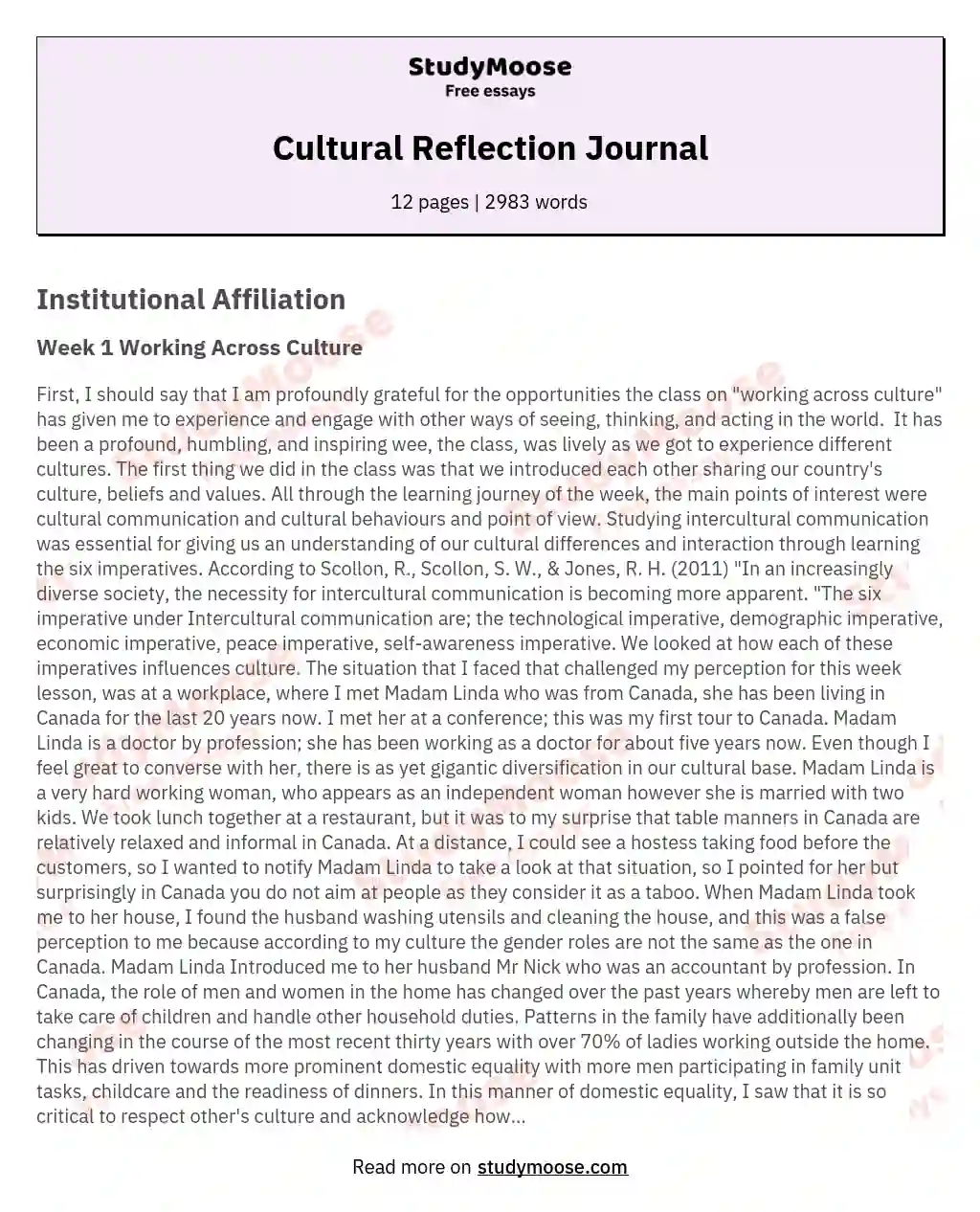 Cultural Reflection Journal essay