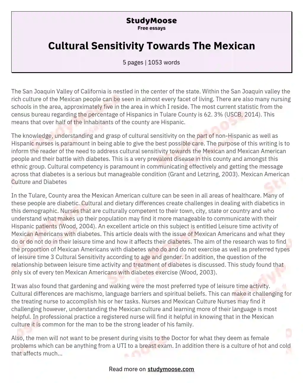 Cultural Sensitivity Towards The Mexican essay