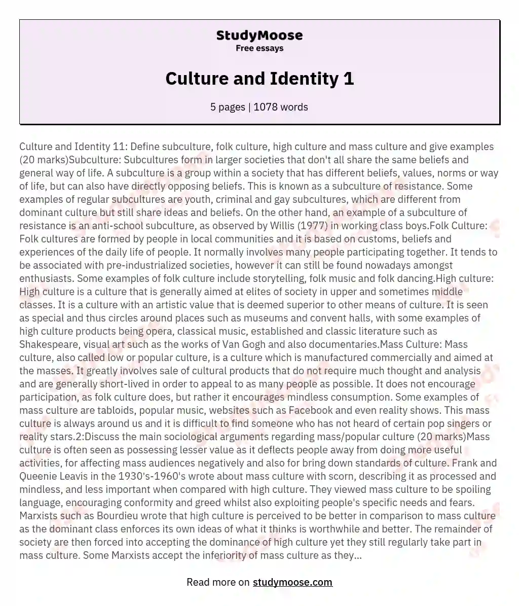 Culture and Identity 1 essay
