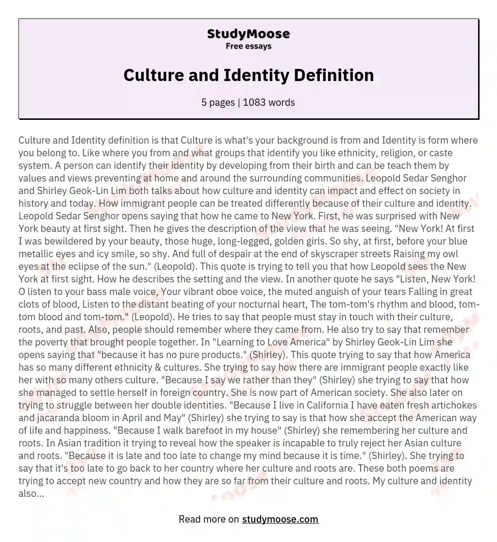 Culture and Identity Definition essay