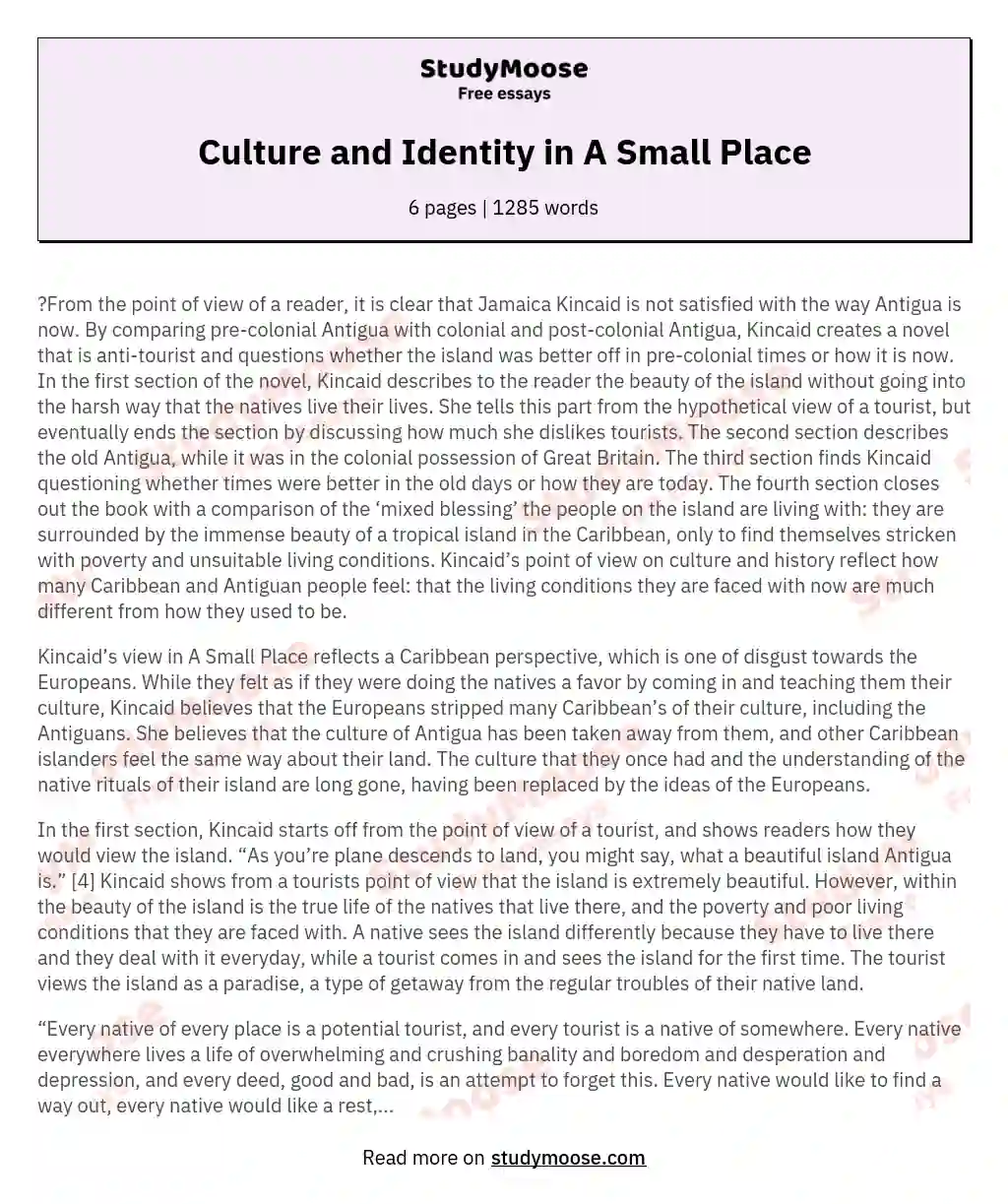 Culture and Identity in A Small Place essay