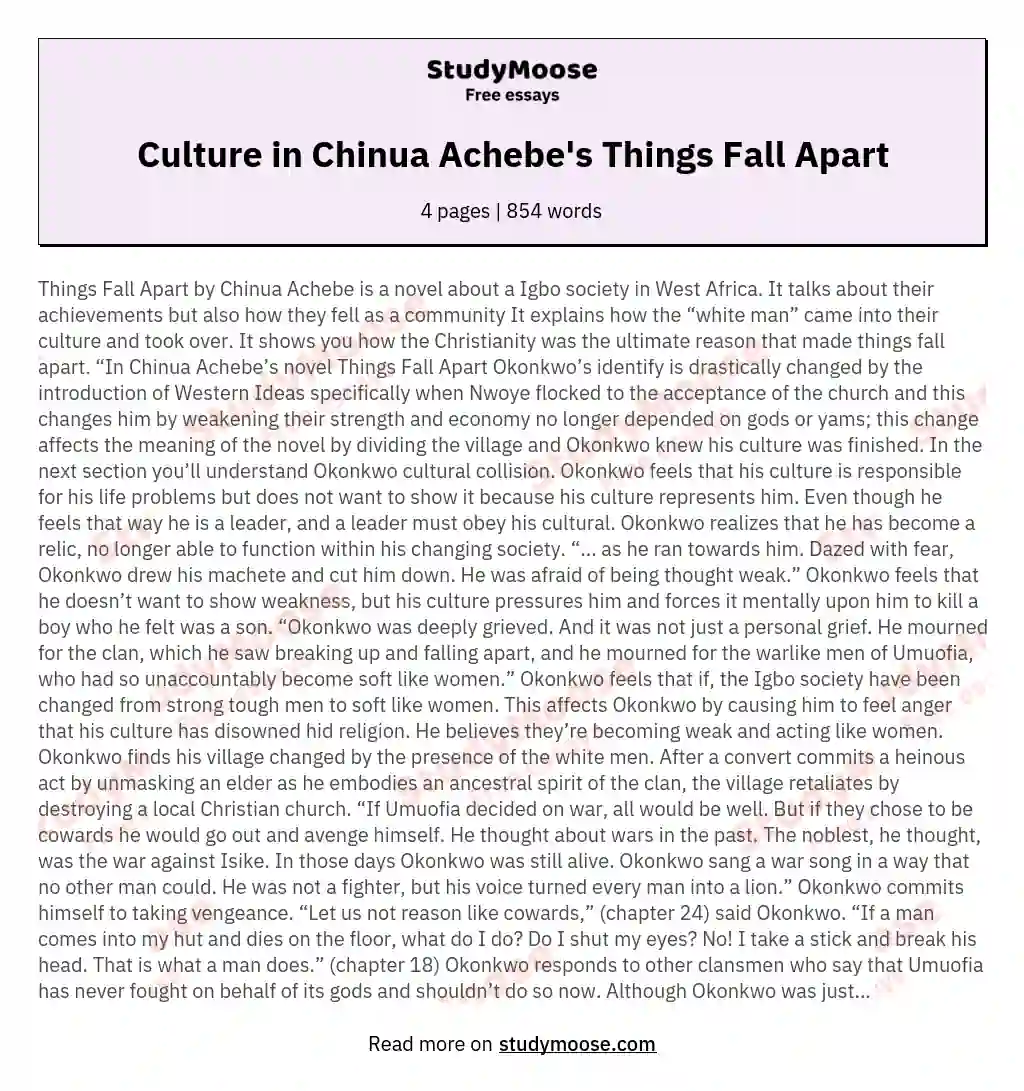 Culture in Chinua Achebe's Things Fall Apart essay