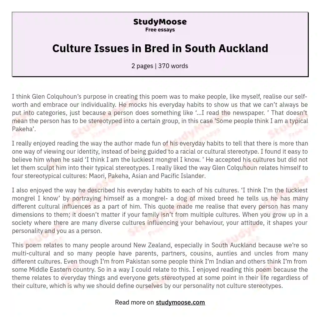 Culture Issues in Bred in South Auckland essay
