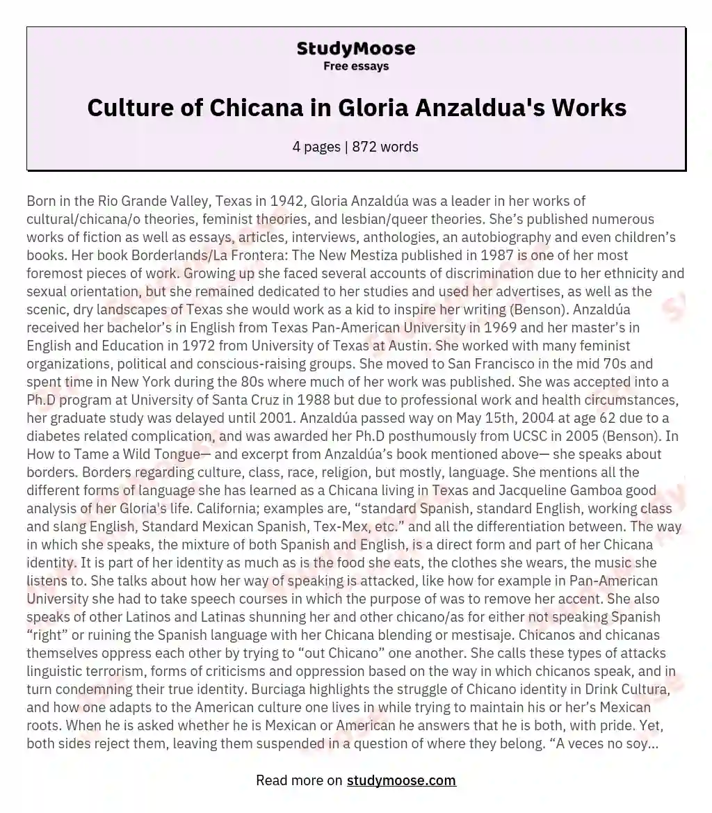 Culture of Chicana in Gloria Anzaldua's Works essay