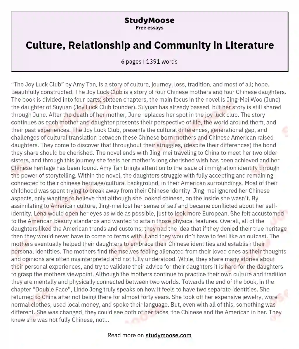Culture, Relationship and Community in Literature essay