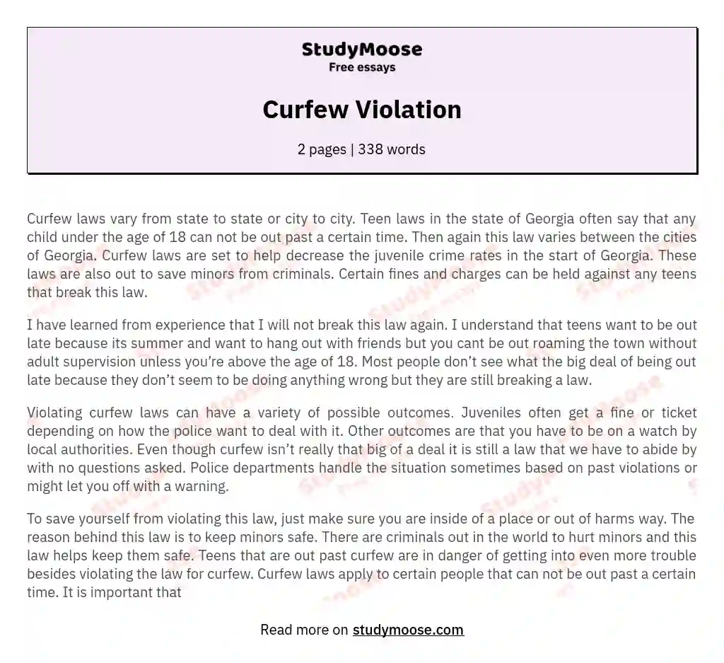 Curfew Violation essay