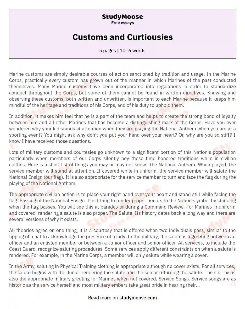Customs and Curtiousies essay