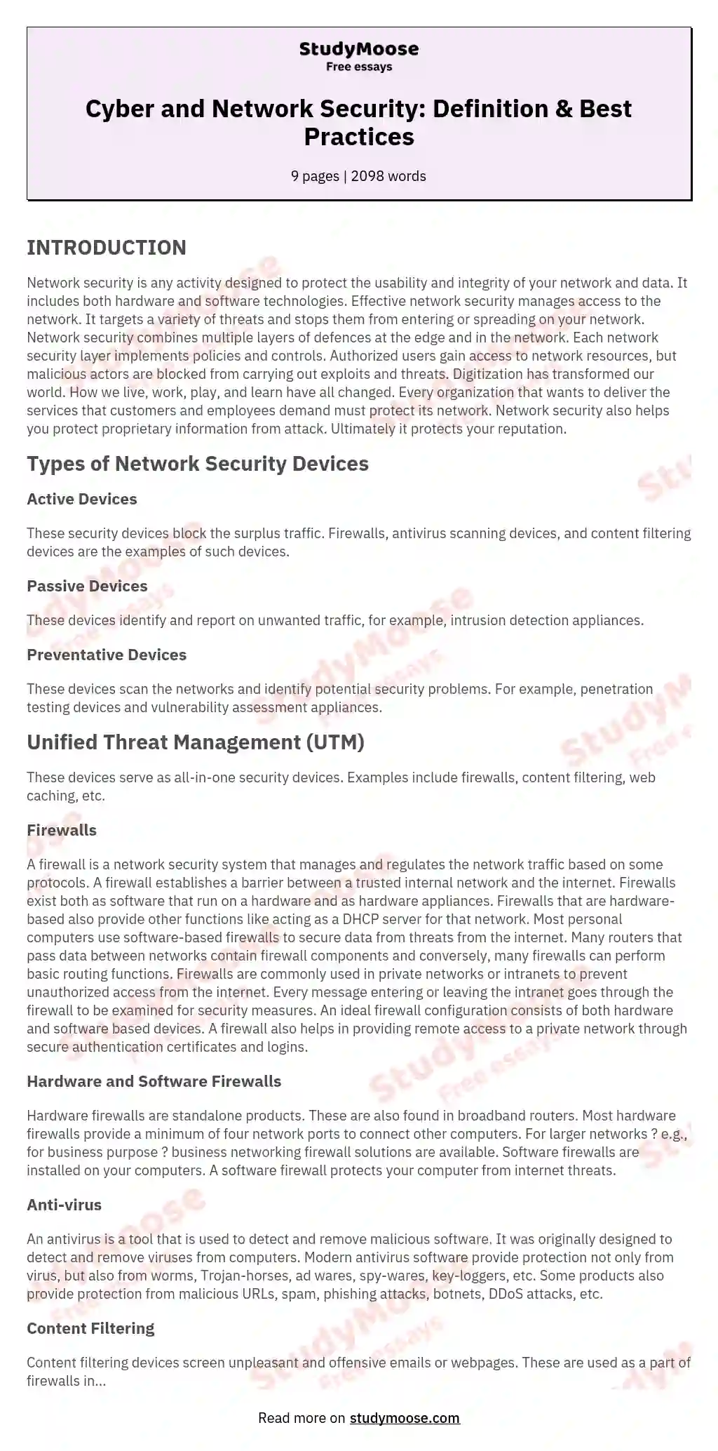 Cyber and Network Security: Definition & Best Practices essay