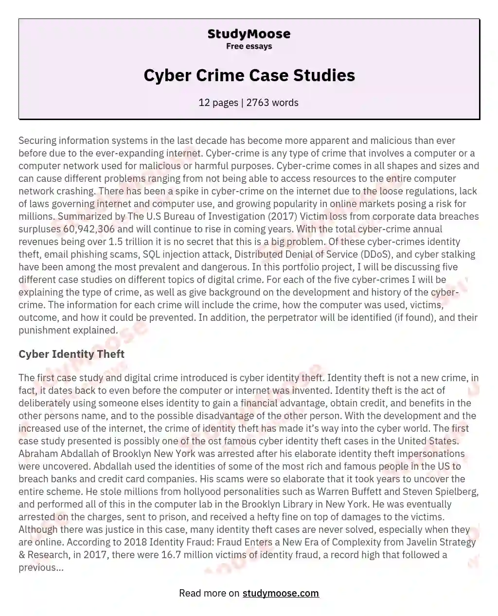 Cyber Crime Case Studies essay
