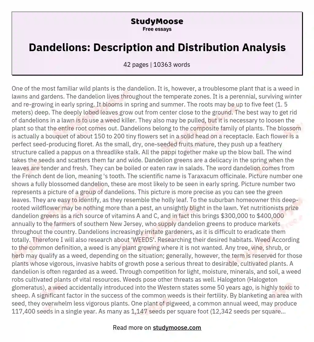 Dandelions - descrption and characteristics. Investigation to dandelion distribution
