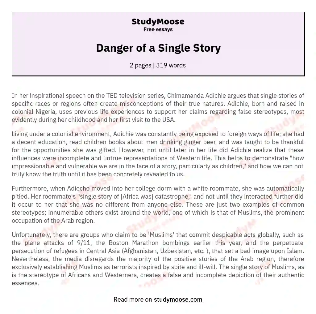 Danger of a Single Story essay