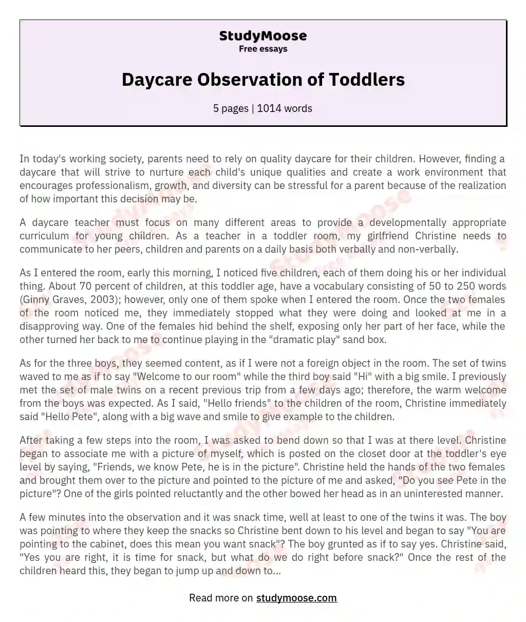 Daycare Observation of Toddlers essay