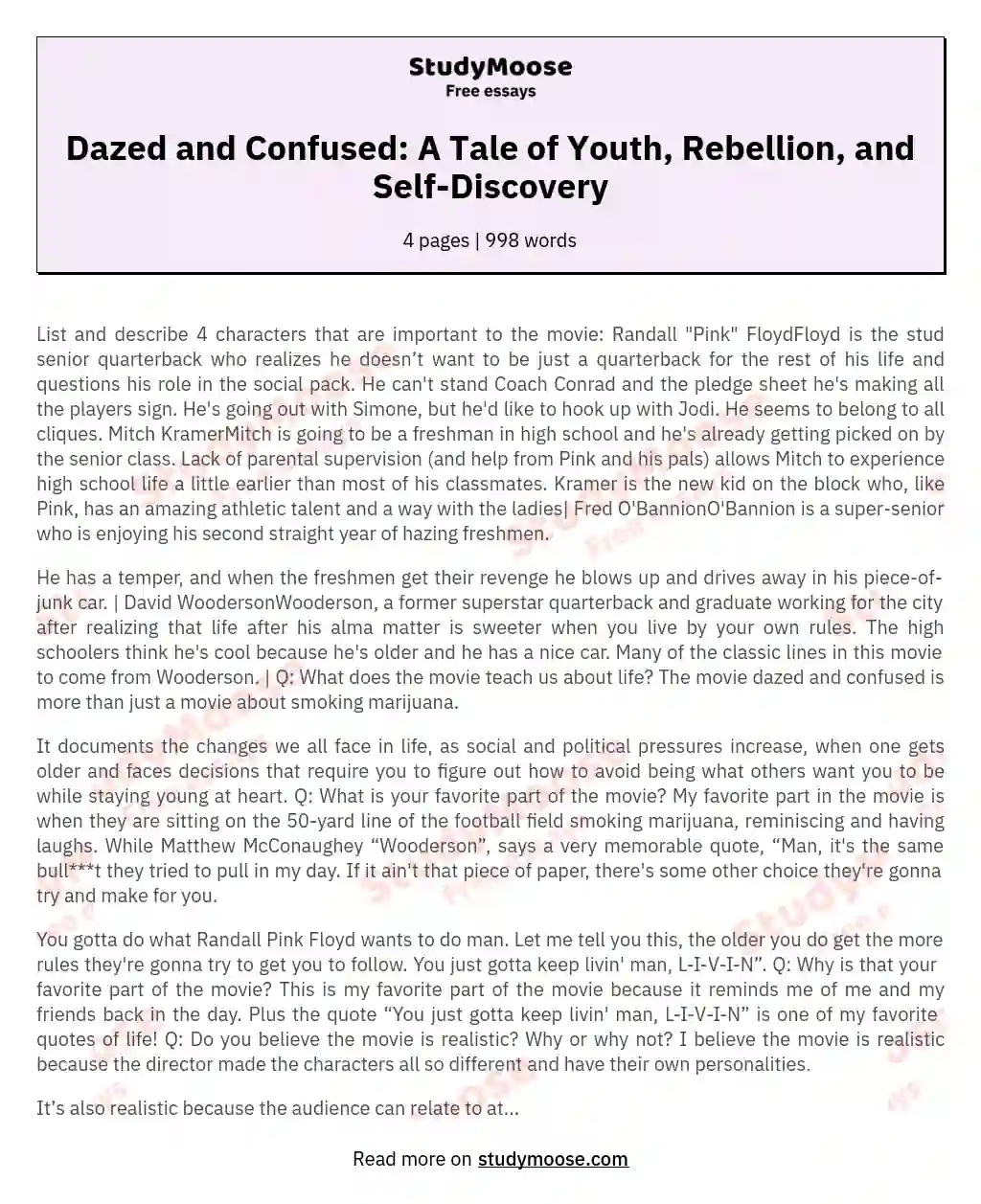 Dazed and Confused: A Tale of Youth, Rebellion, and Self-Discovery essay