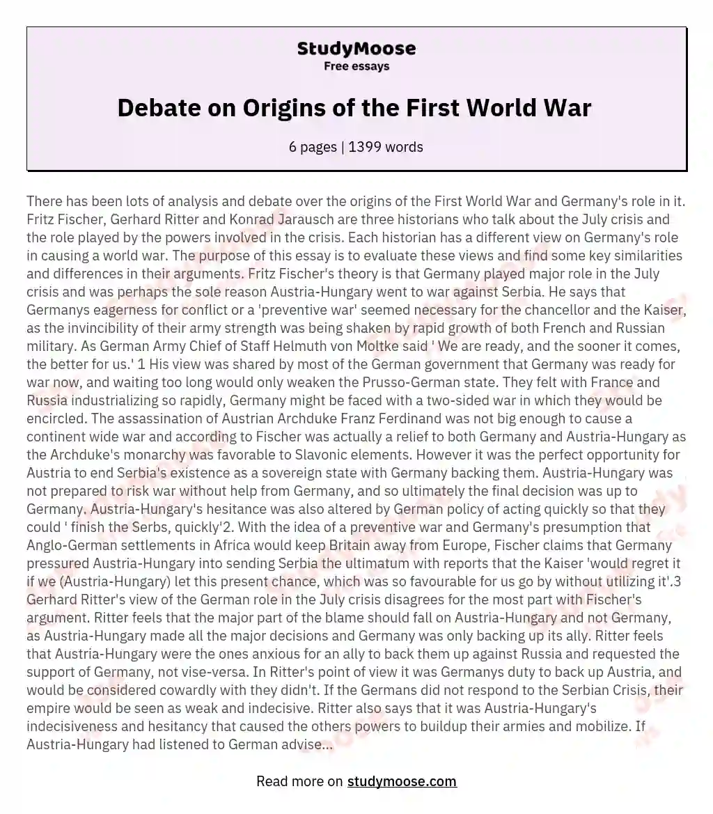 Debate on Origins of the First World War  essay