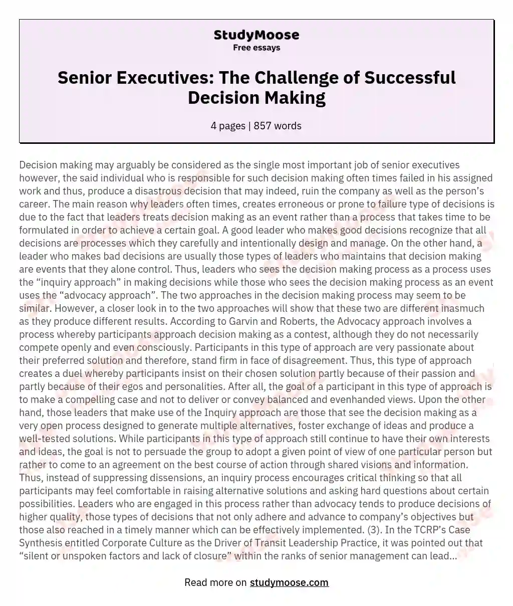 Senior Executives: The Challenge of Successful Decision Making essay