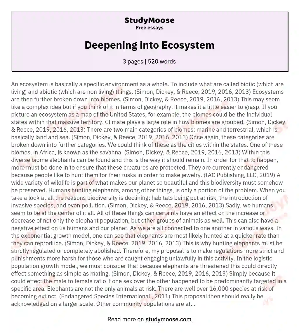 Deepening into Ecosystem essay