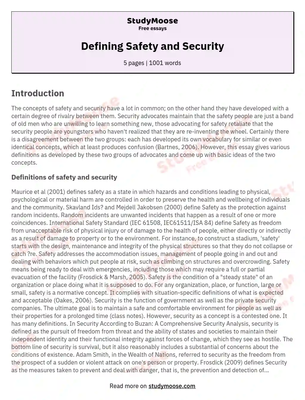 Defining Safety and Security essay