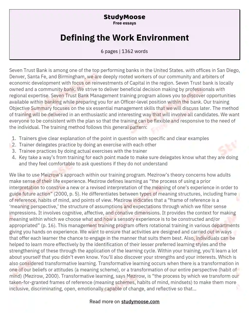 Defining the Work Environment essay