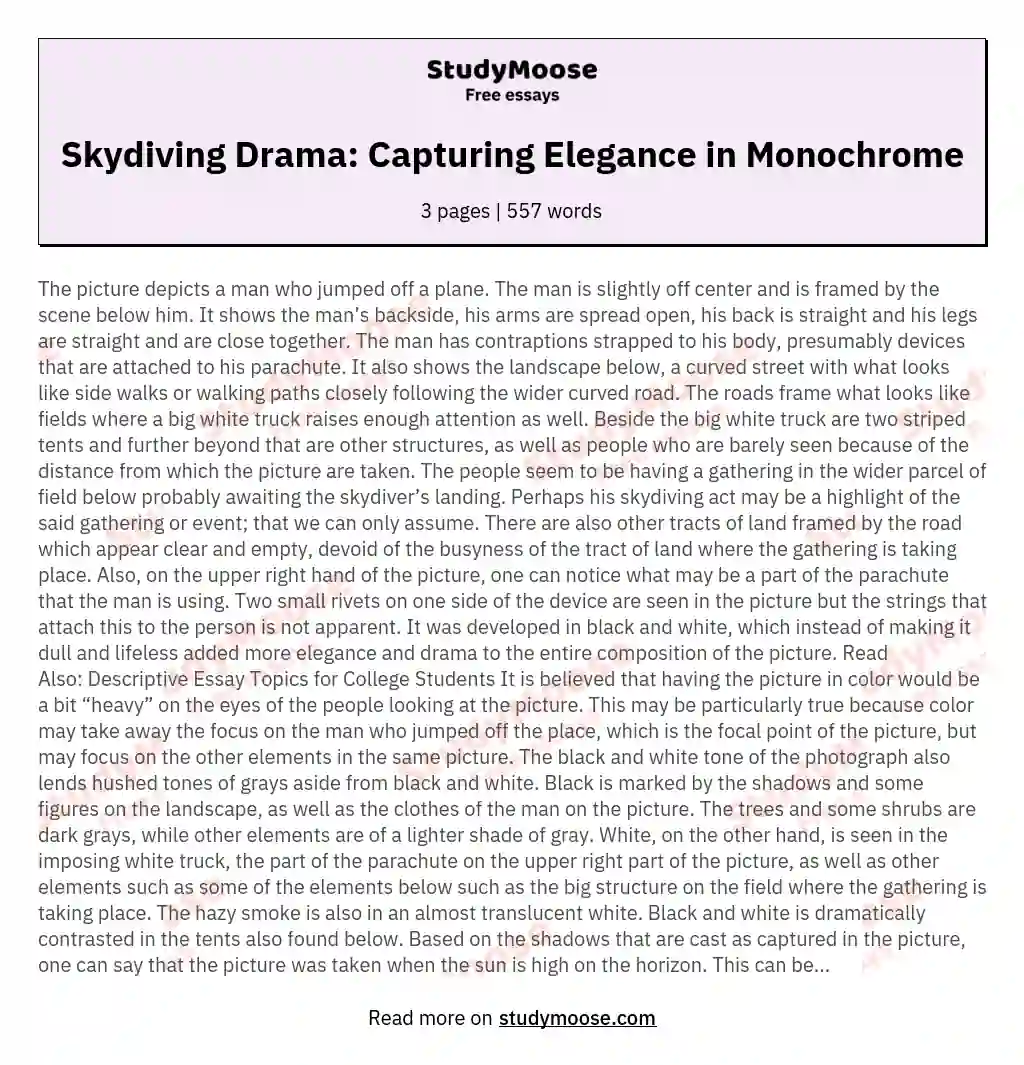 Skydiving Drama: Capturing Elegance in Monochrome essay
