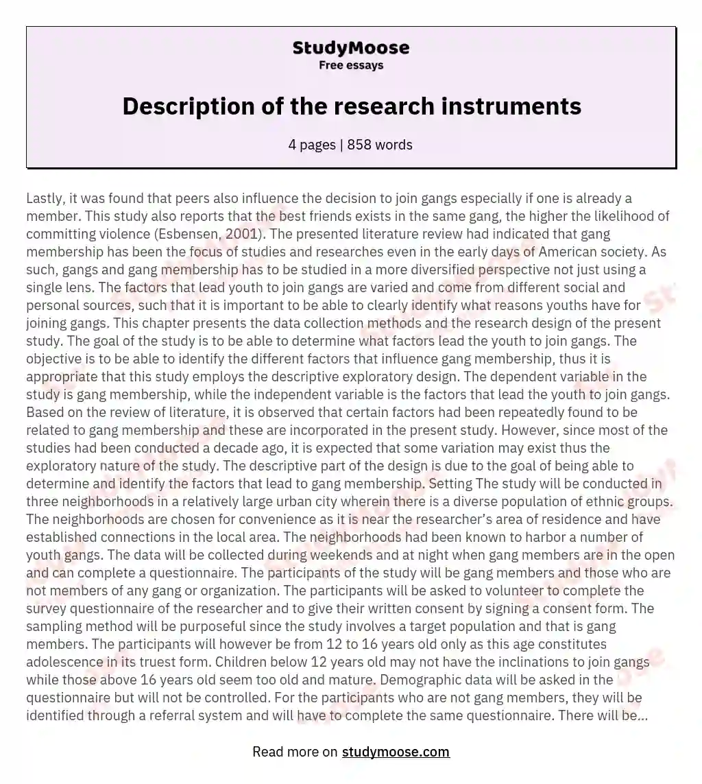 Description of the research instruments essay