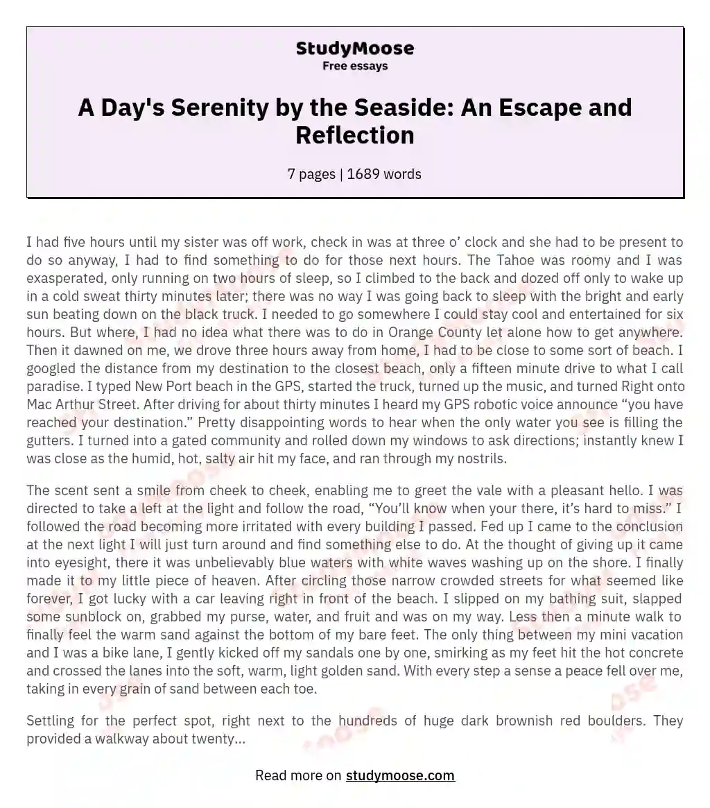 A Day's Serenity by the Seaside: An Escape and Reflection essay