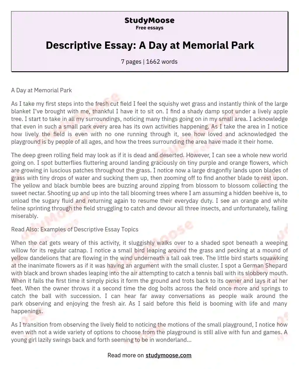 Descriptive Essay: A Day at Memorial Park essay