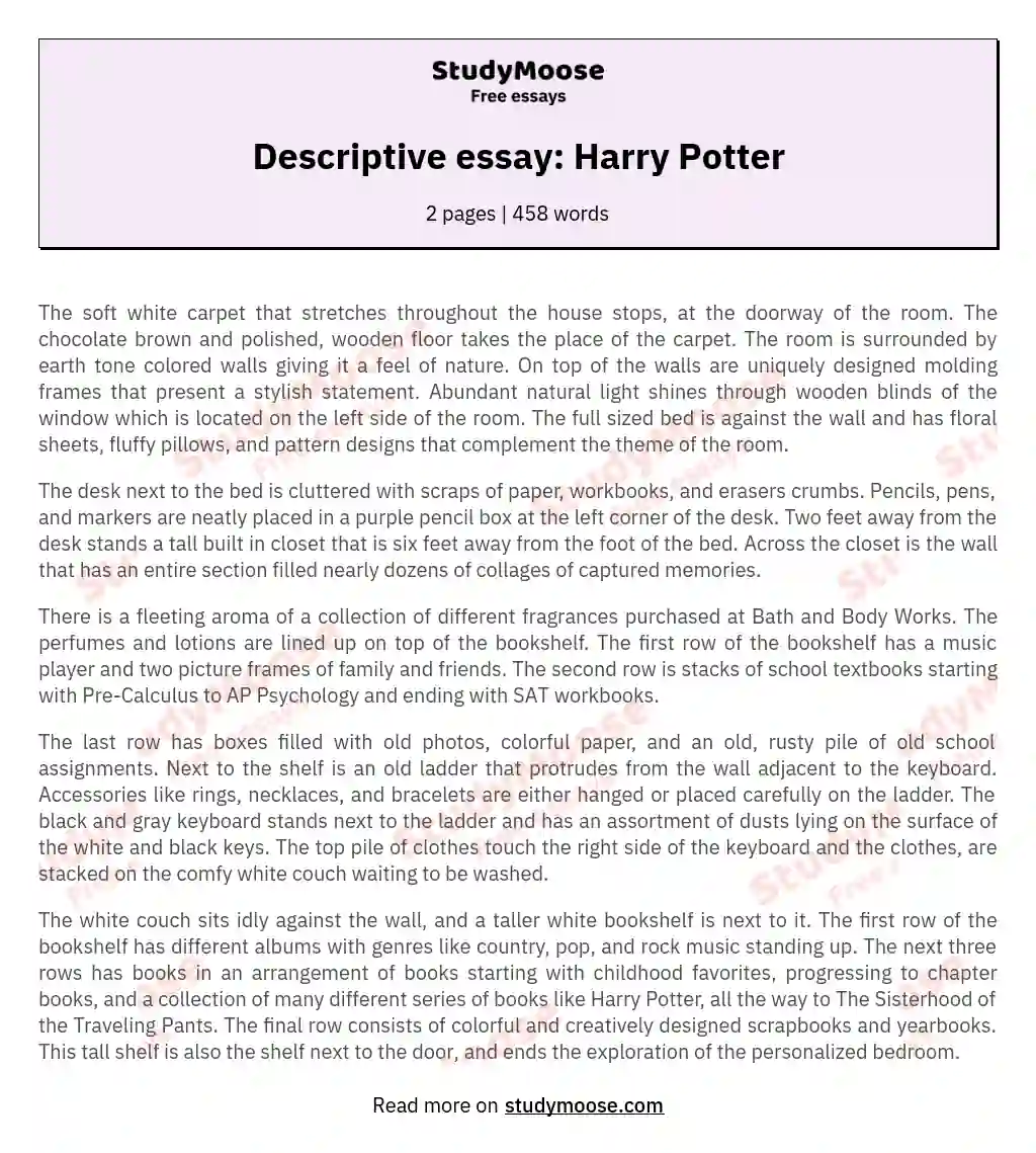 Descriptive essay: Harry Potter