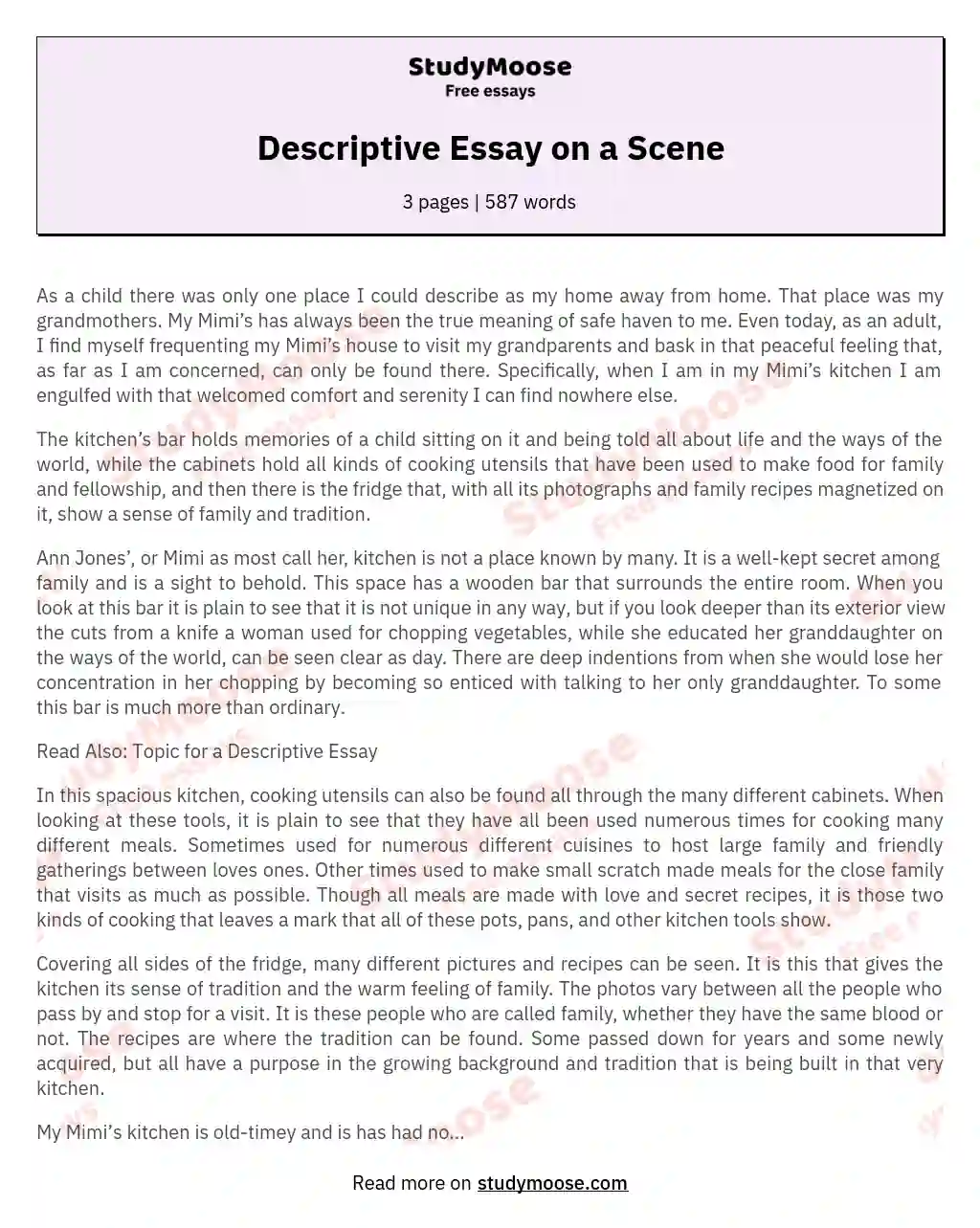 Descriptive Essay on a Scene essay