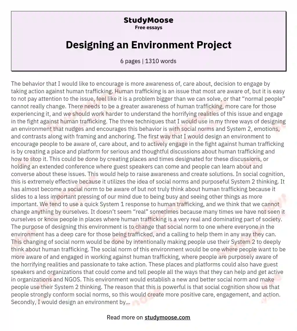 Designing an Environment Project essay