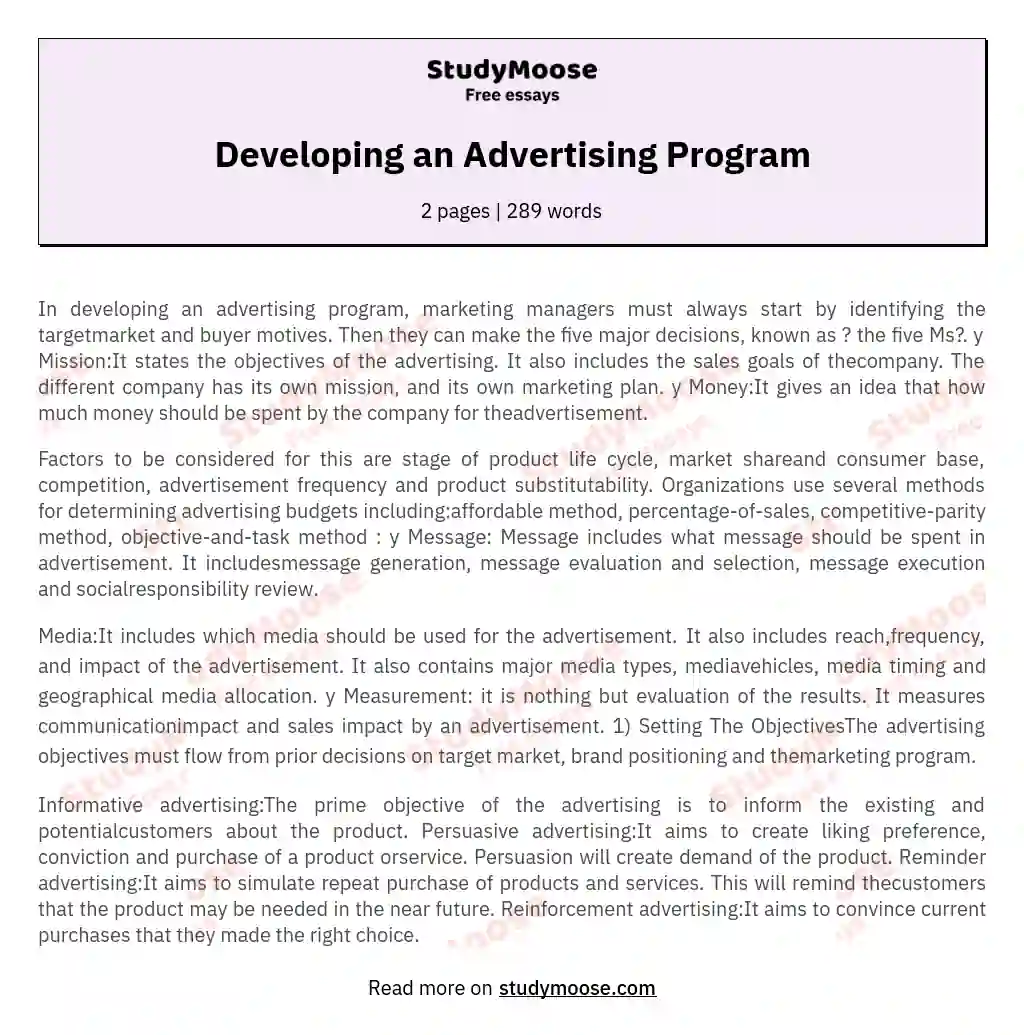 Developing an Advertising Program essay