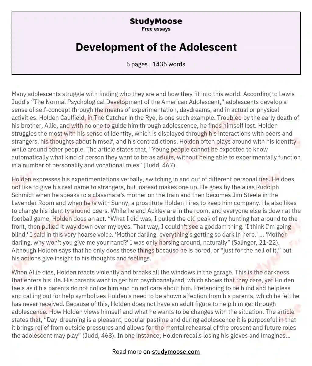 Development of the Adolescent essay