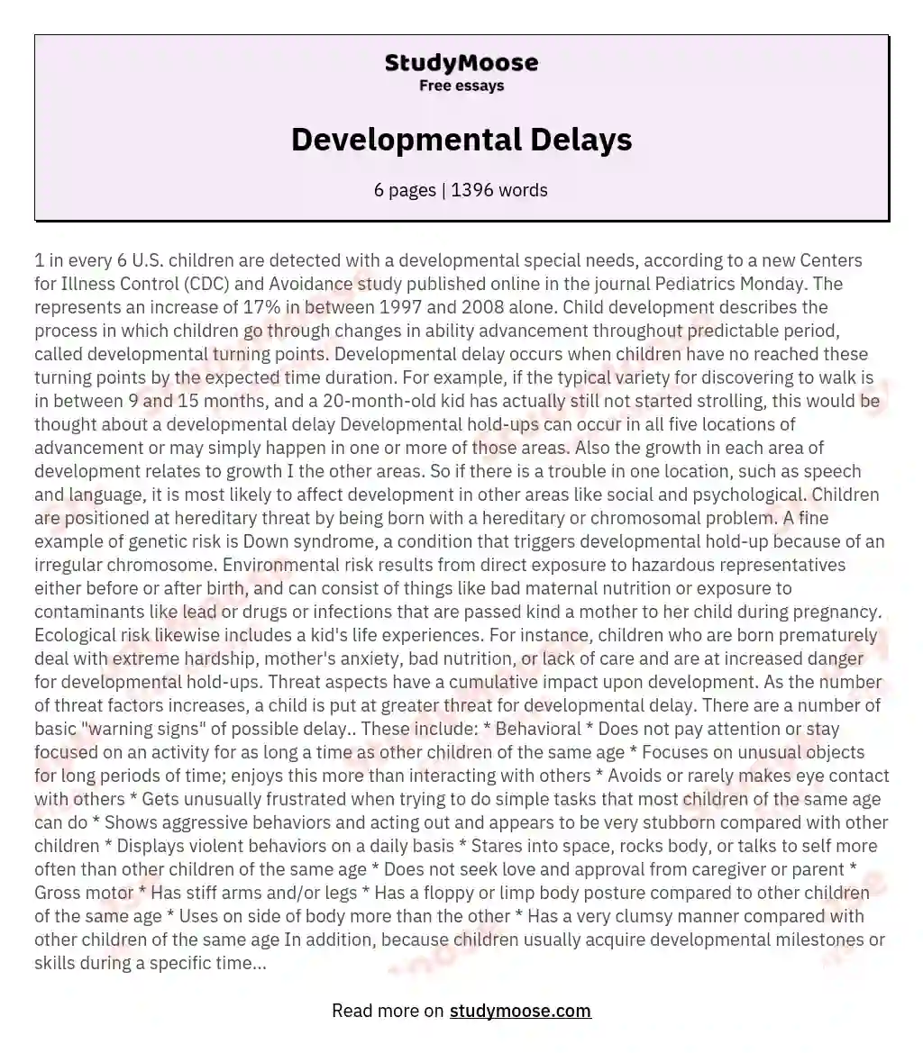 Developmental Delays essay