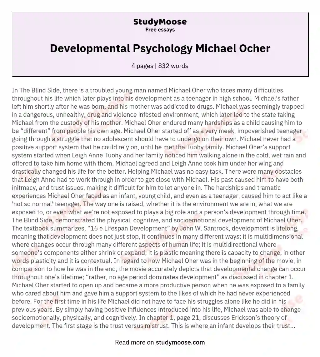 Developmental Psychology Michael Ocher essay