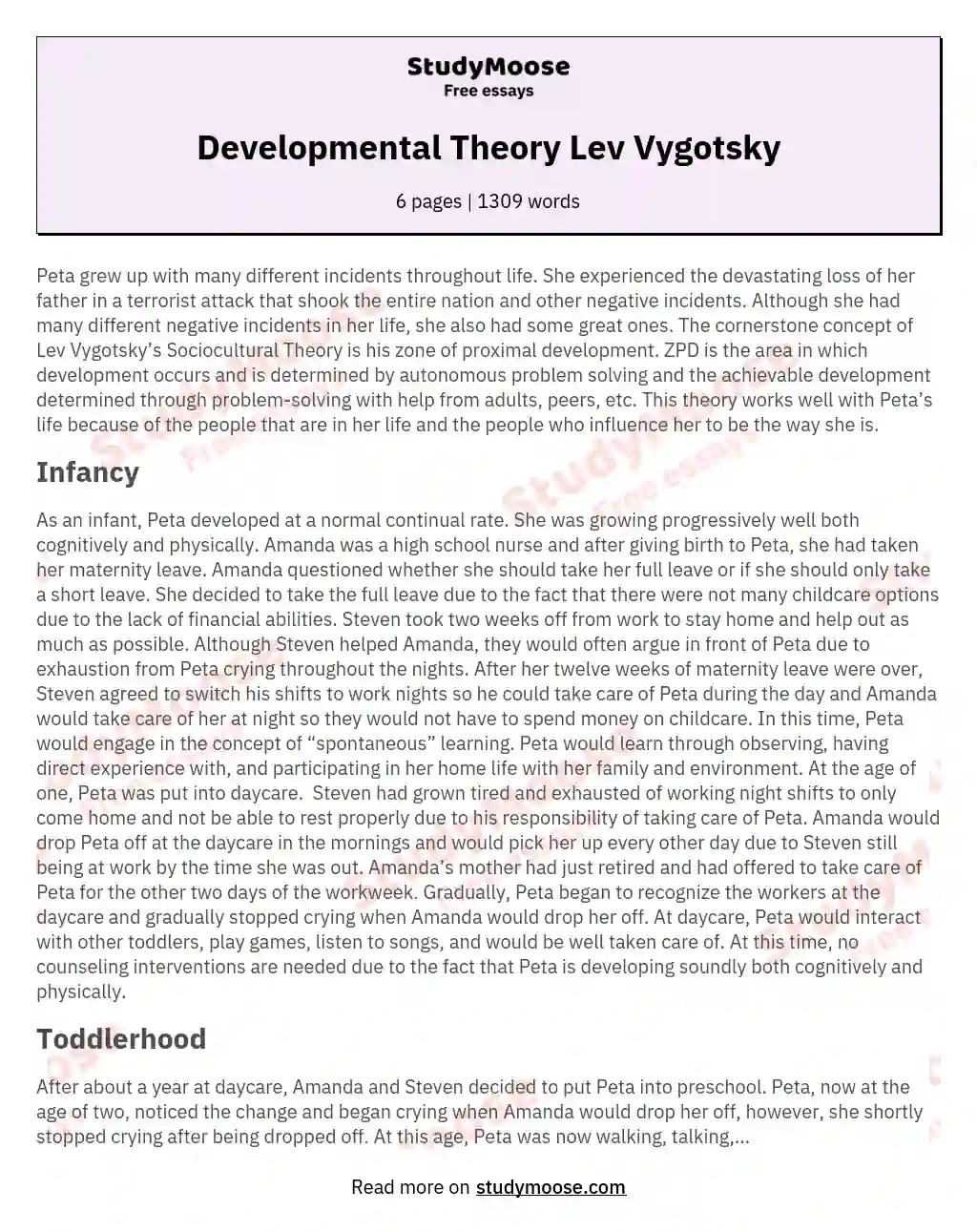 Developmental Theory Lev Vygotsky essay