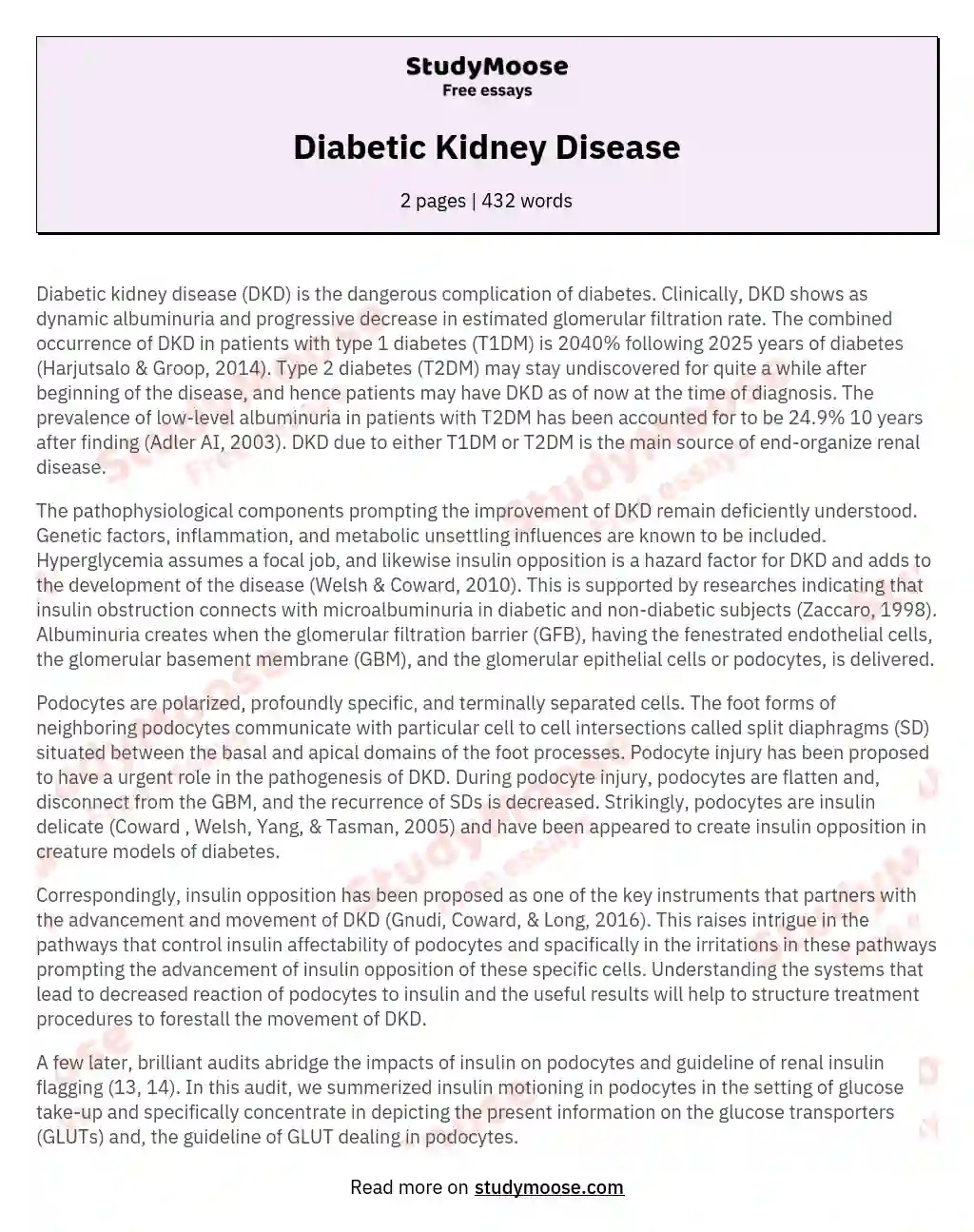 Diabetic Kidney Disease