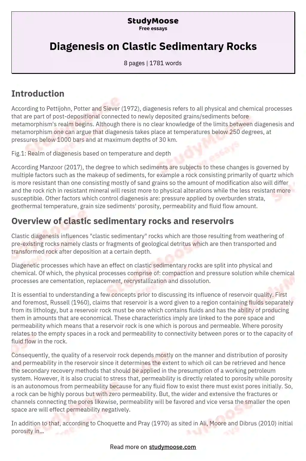 Diagenesis on Clastic Sedimentary Rocks essay