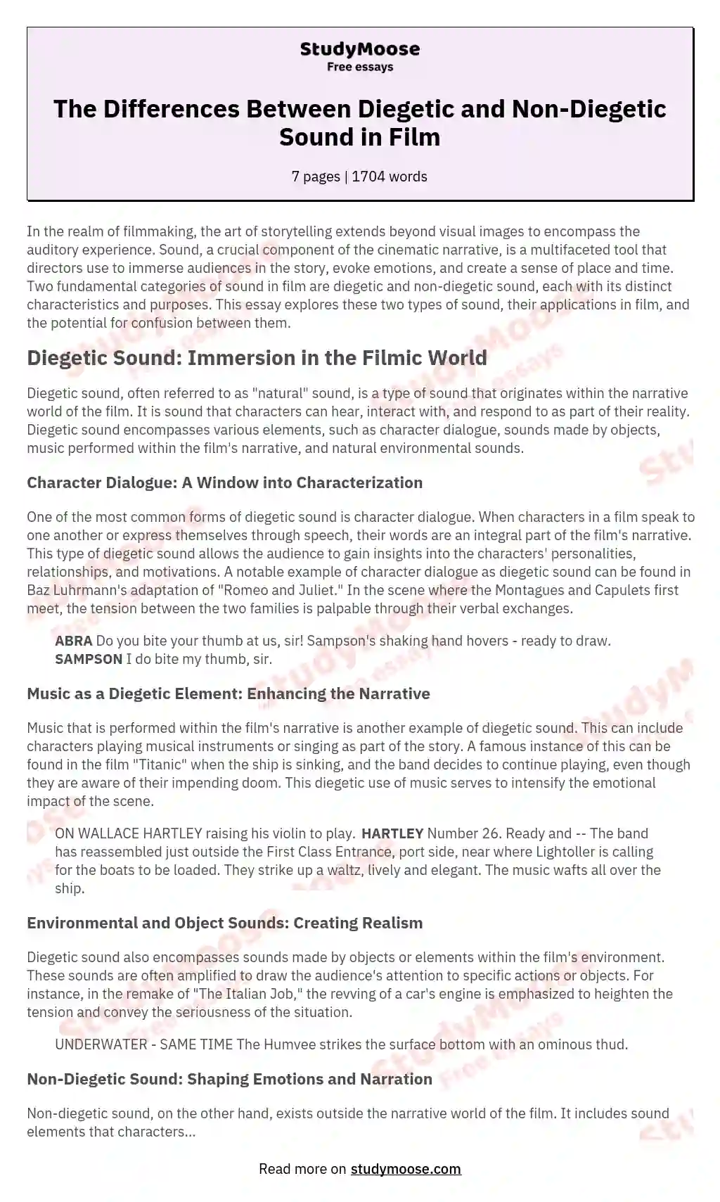 The Differences Between Diegetic and Non-Diegetic Sound in Film essay