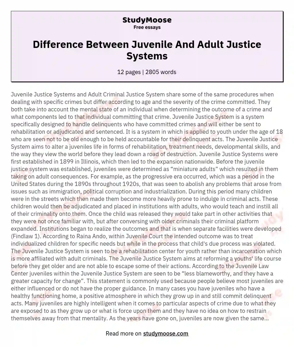 Difference Between Juvenile And Adult Justice Systems essay