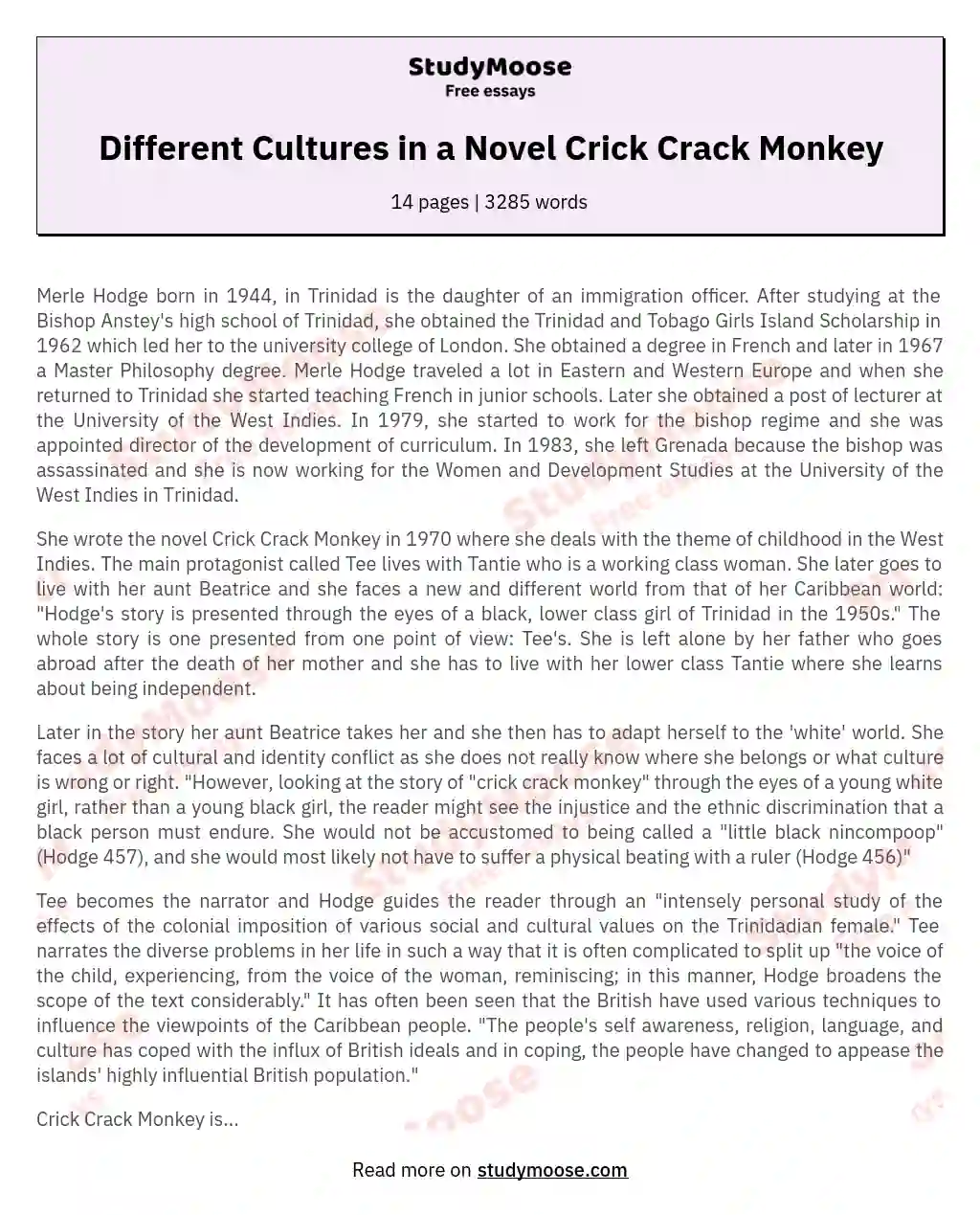 Different Cultures in a Novel Crick Crack Monkey essay