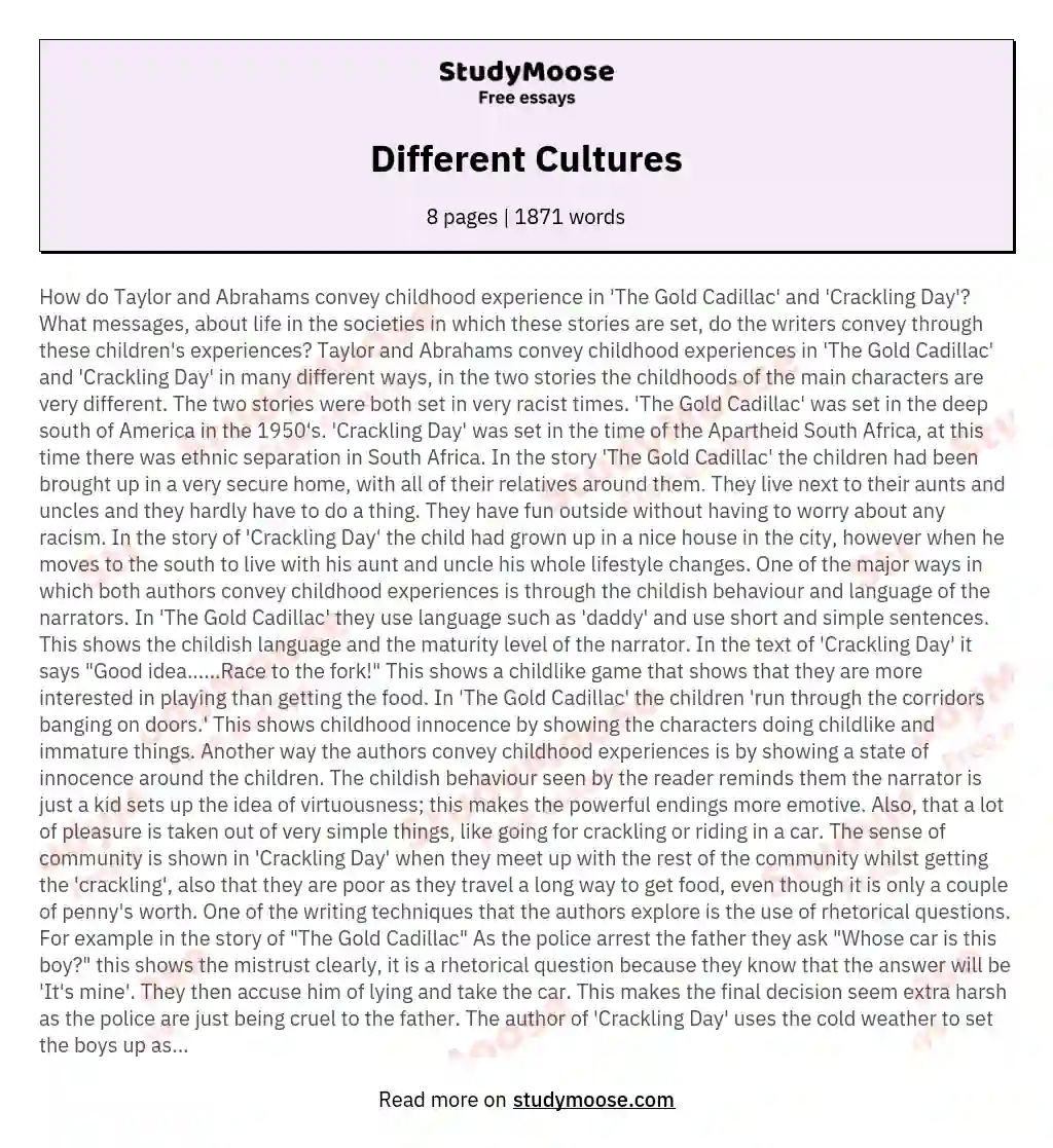 Different Cultures essay