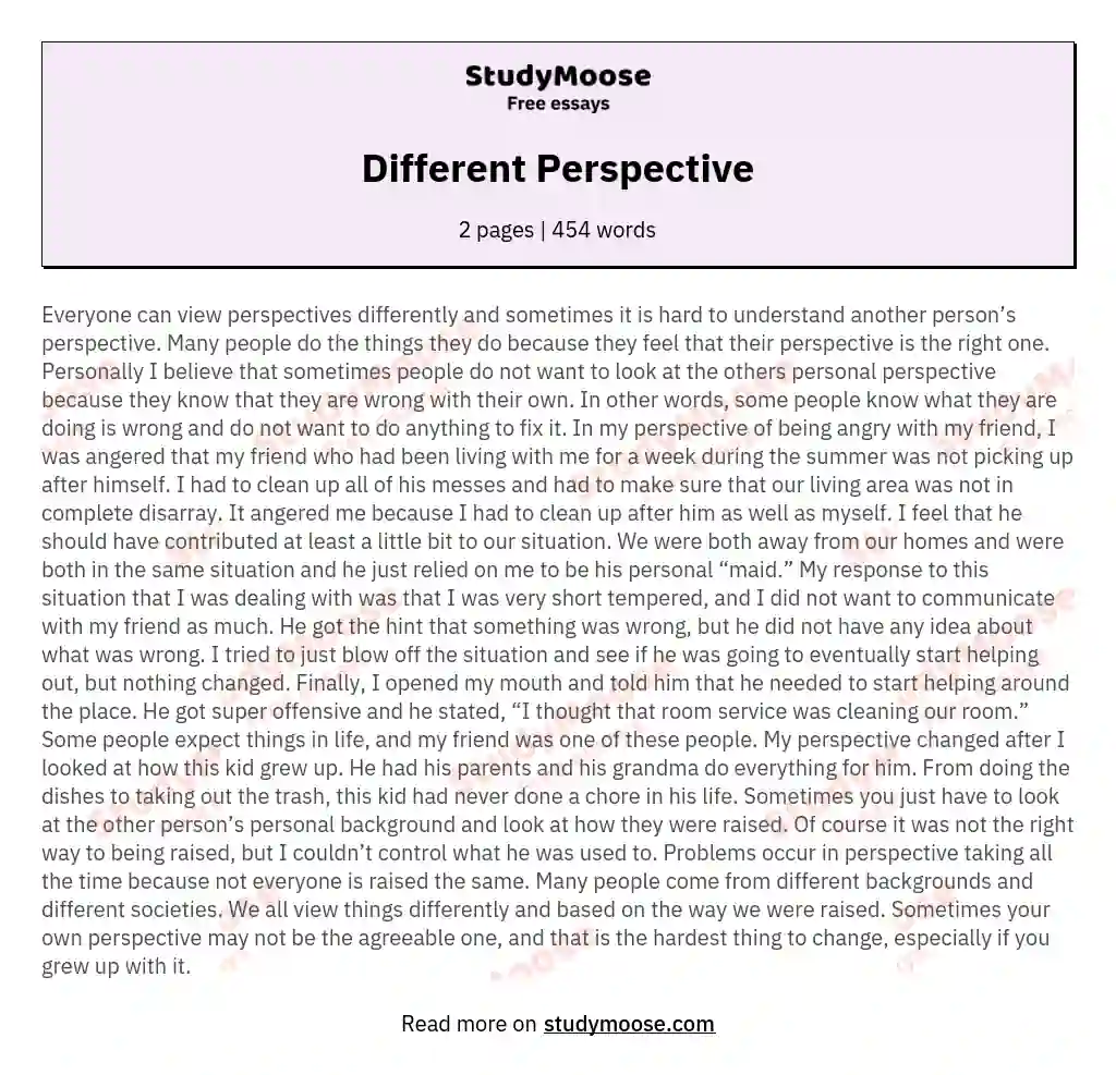 Different Perspective essay