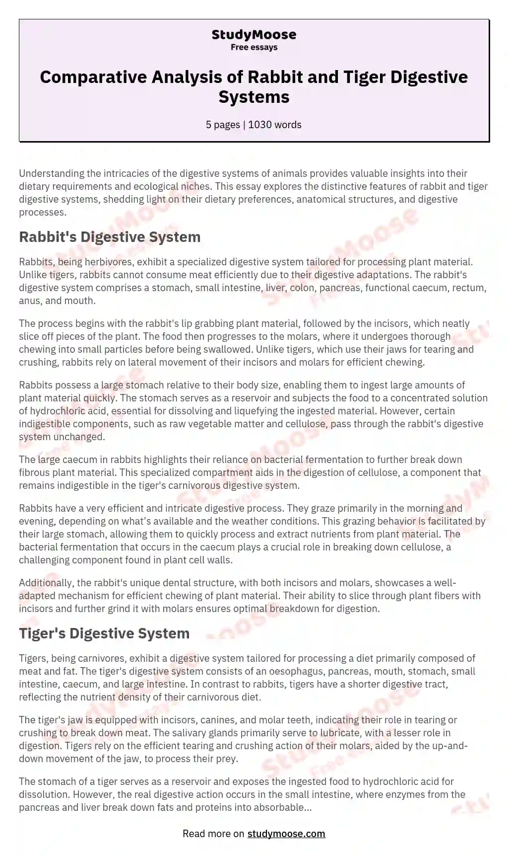 Comparative Analysis of Rabbit and Tiger Digestive Systems essay