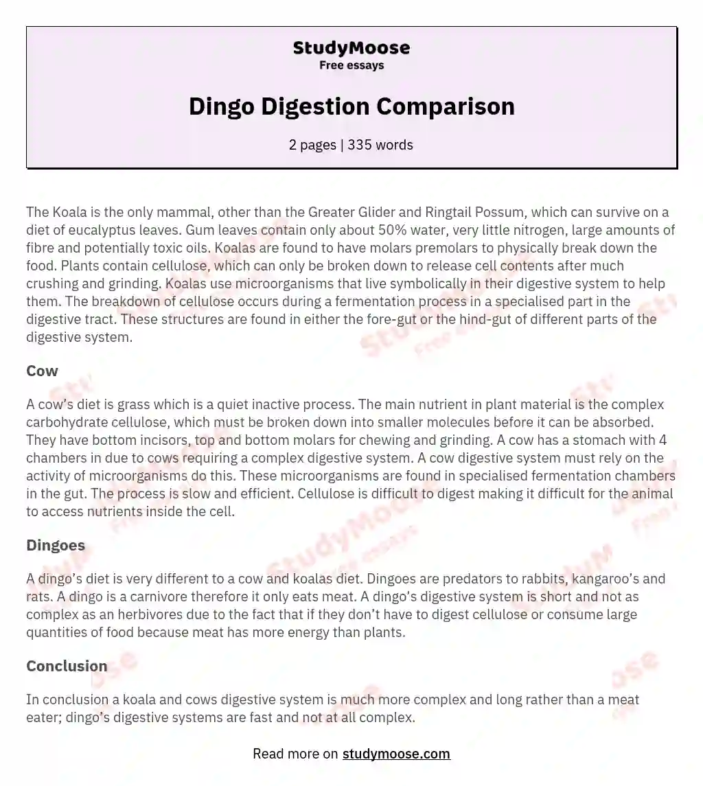 Dingo Digestion Comparison