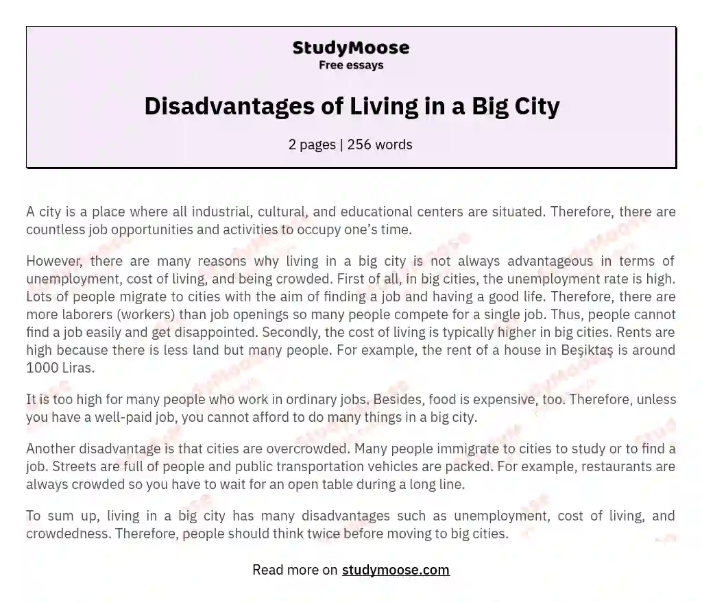 Disadvantages of Living in a Big City essay