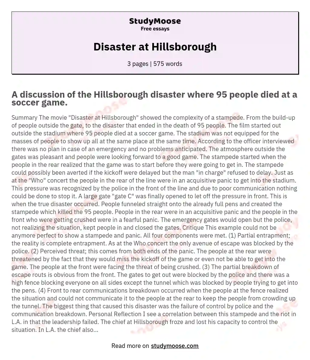 Disaster at Hillsborough essay