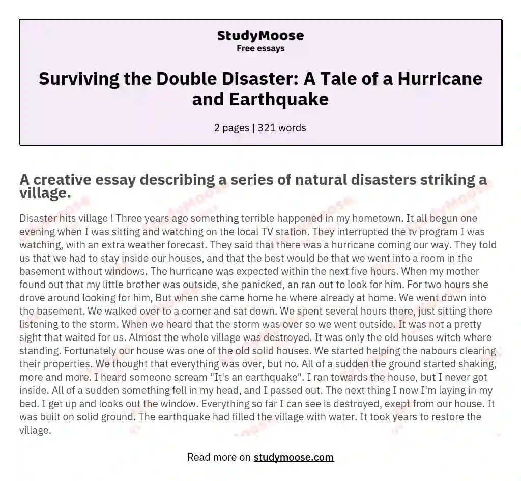 Surviving the Double Disaster: A Tale of a Hurricane and Earthquake essay