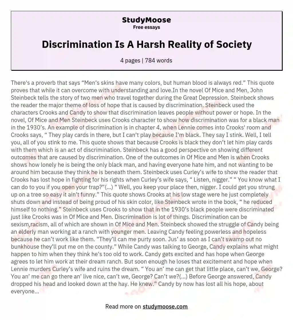 Discrimination Is A Harsh Reality of Society essay